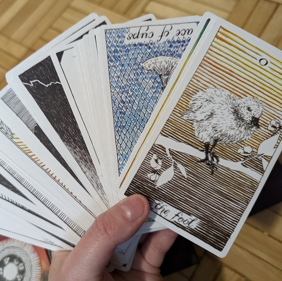 The Wild Unknown Tarot boxset - Picture 5 of 14